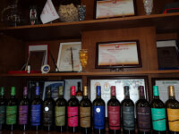 завод вина ASPI AGRO