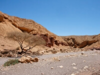 Makhtesh Ramon