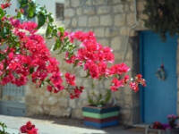 Деревня художников Эйн Ход