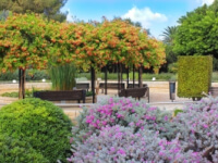 Rothschild Park