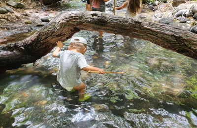 525. Семейное путешествие по "израильской Амазонке"