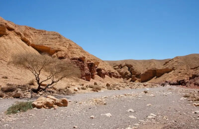 211. Путешествие в сердце Негева: Махтеш Рамон и верблюды