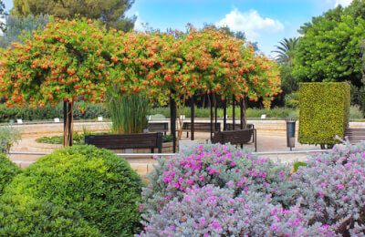 Рамат Ха-надив