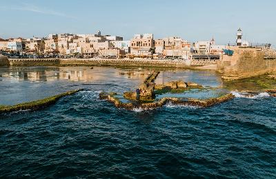 564. Ароматы лета: От садов Бахаи до фруктовых долин