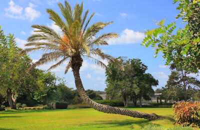 Рамат Ха-надив