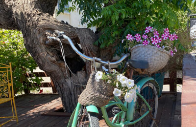 173. Ein Hod, Rothschild Park, Druz Village