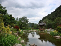 Morning Calm Park